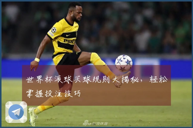世界杯滚球买球规则大揭秘，轻松掌握投注技巧