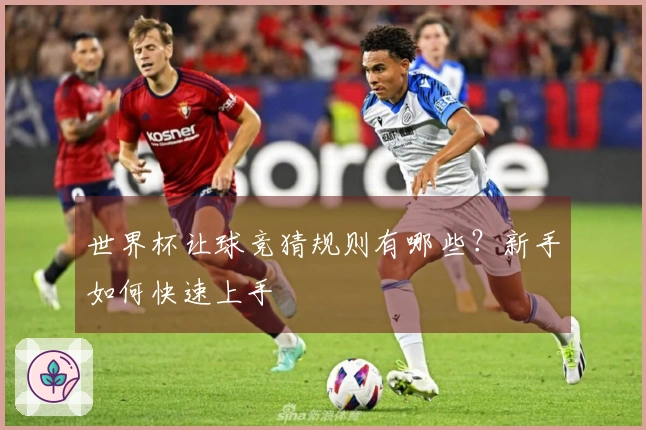 世界杯让球竞猜规则有哪些？新手如何快速上手