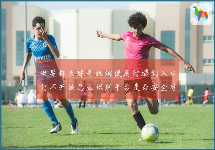 世界杯买球手机端使用时遇到入口打不开该怎么识别平台是否安全可靠