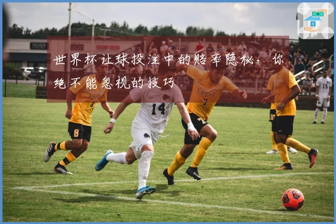 世界杯让球投注中的赔率隐秘，你绝不能忽视的技巧